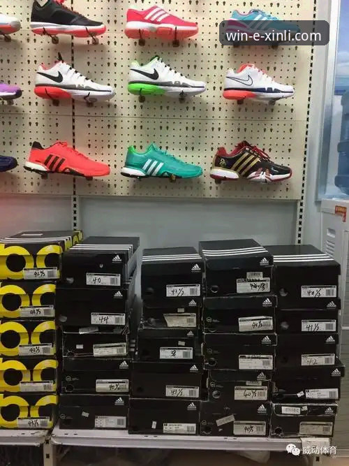 新利体育平台优惠信息推荐与使用详解