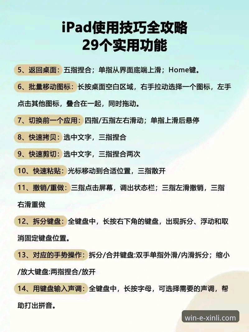 新利体育平台官方网站最新版：从入门到精通的完整使用指南